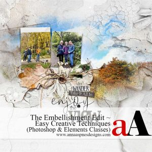 The Embellishment Edit in Adobe Photoshop and Elements: Easy Creative Techniques for Digital Scrapbooking